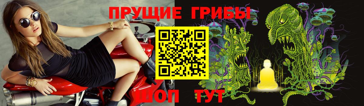 Кашира  Галлюциногенные грибы GOLDEN TEACHER  Псилоцибиновые грибы Magic Shrooms  Вход с VPN 